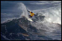020 Volcom Hittin the Lip.JPG (444975 bytes)
