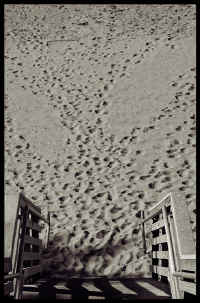 026 Footsteps in the Sand.jpg (372938 bytes)